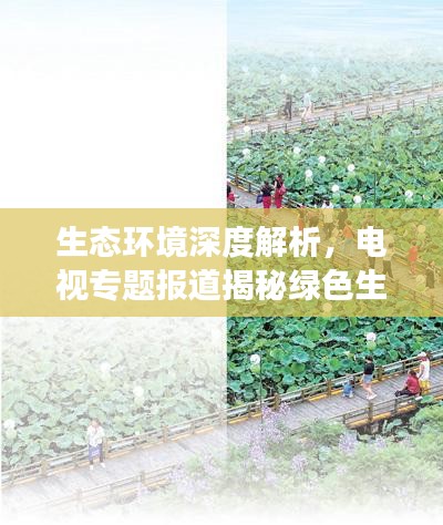 生態(tài)環(huán)境深度解析，電視專題報(bào)道揭秘綠色生態(tài)發(fā)展之路