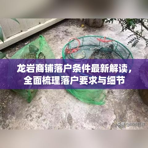 龍巖商鋪落戶條件最新解讀，全面梳理落戶要求與細(xì)節(jié)