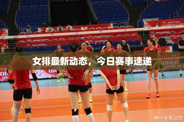 女排最新動態(tài)，今日賽事速遞