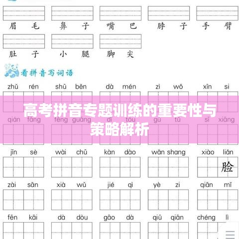 高考拼音專題訓練的重要性與策略解析