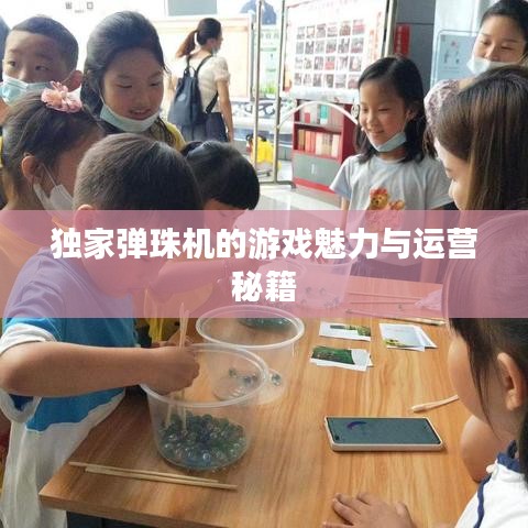 獨家彈珠機的游戲魅力與運營秘籍