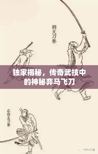 獨家揭秘，傳奇武技中的神秘棄馬飛刀