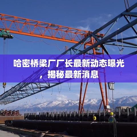 哈密橋梁廠廠長最新動(dòng)態(tài)曝光，揭秘最新消息