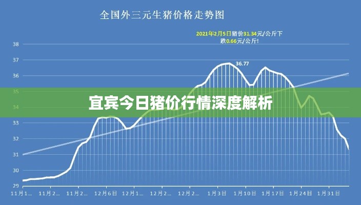 宜賓今日豬價行情深度解析