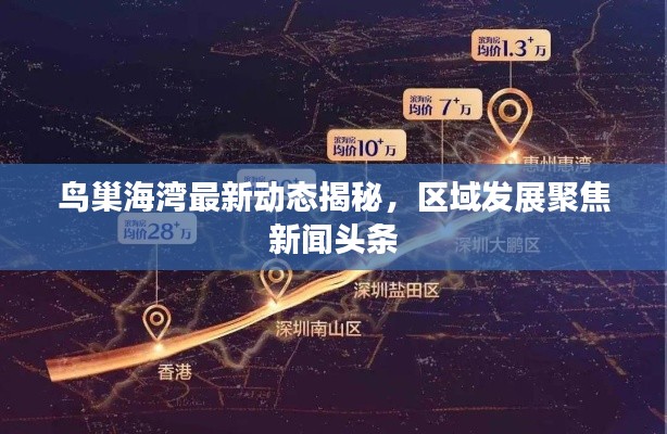 鳥巢海灣最新動態(tài)揭秘，區(qū)域發(fā)展聚焦新聞頭條