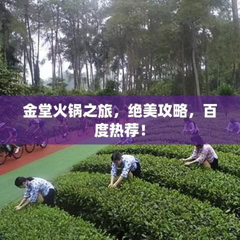 金堂火鍋之旅，絕美攻略，百度熱薦！