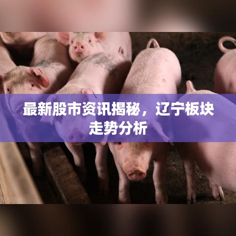 最新股市資訊揭秘，遼寧板塊走勢分析