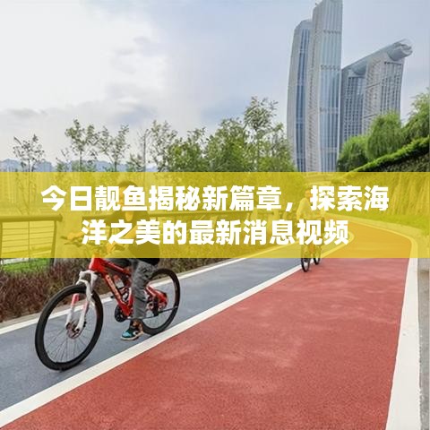 今日靚魚揭秘新篇章，探索海洋之美的最新消息視頻