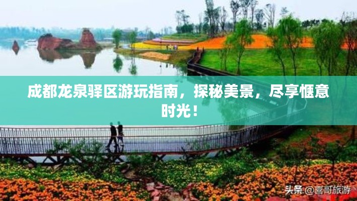 成都龍泉驛區(qū)游玩指南，探秘美景，盡享愜意時光！