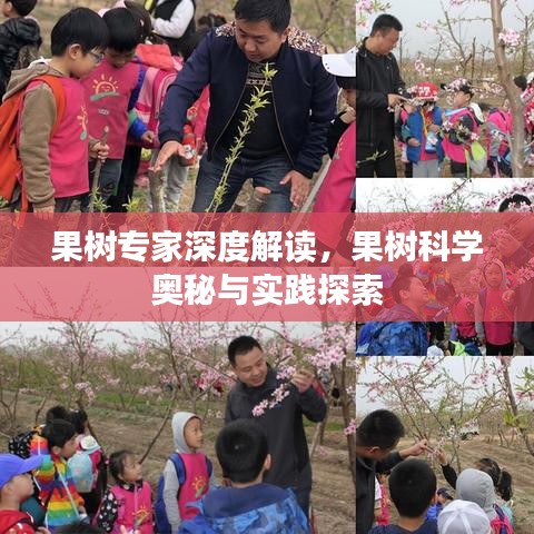 果樹專家深度解讀，果樹科學(xué)奧秘與實(shí)踐探索
