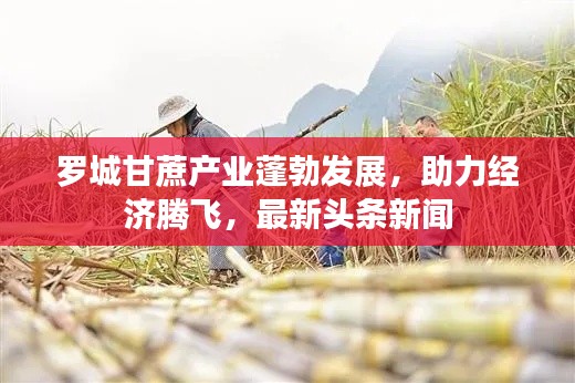 羅城甘蔗產(chǎn)業(yè)蓬勃發(fā)展，助力經(jīng)濟(jì)騰飛，最新頭條新聞