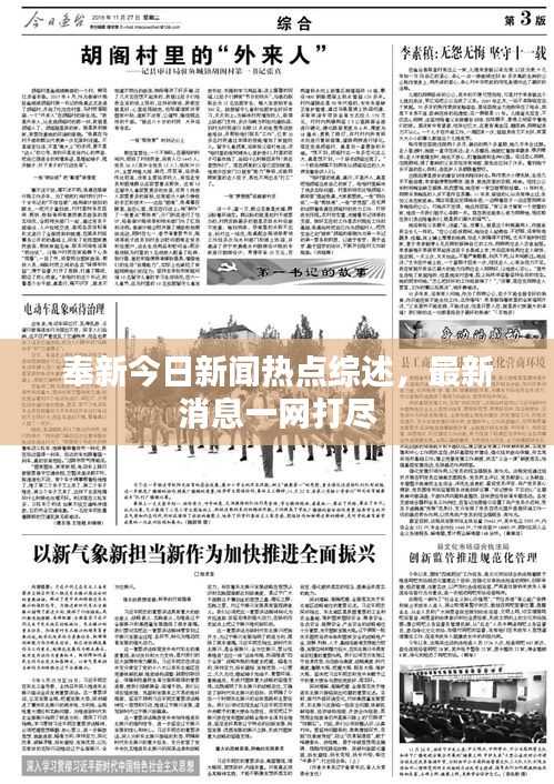 奉新今日新聞熱點綜述，最新消息一網(wǎng)打盡