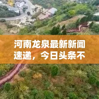 河南龍泉最新新聞速遞，今日頭條不容錯過！
