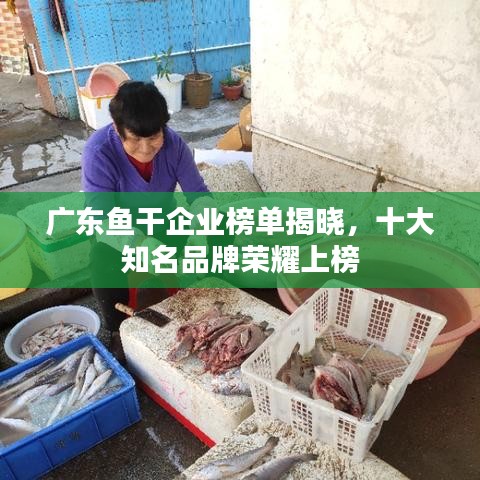 廣東魚干企業(yè)榜單揭曉，十大知名品牌榮耀上榜