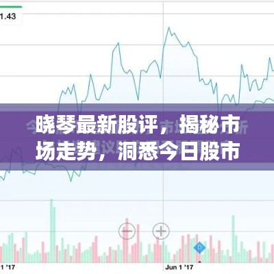 曉琴最新股評，揭秘市場走勢，洞悉今日股市動態(tài)