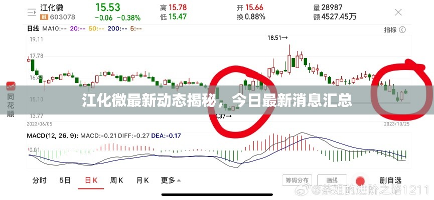 江化微最新動態(tài)揭秘，今日最新消息匯總