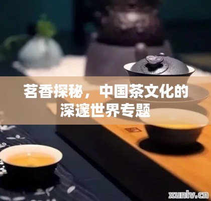 茗香探秘，中國(guó)茶文化的深邃世界專(zhuān)題