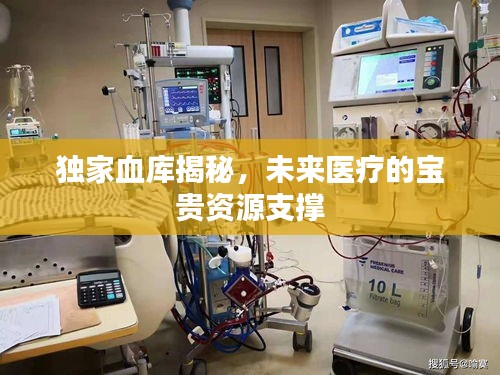 獨(dú)家血庫(kù)揭秘，未來醫(yī)療的寶貴資源支撐