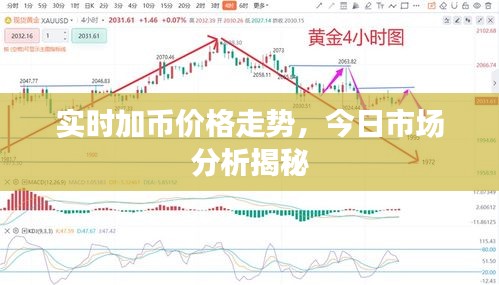 實(shí)時(shí)加幣價(jià)格走勢(shì)，今日市場(chǎng)分析揭秘