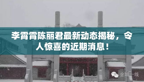 李霄霄陳麗君最新動(dòng)態(tài)揭秘，令人驚喜的近期消息！