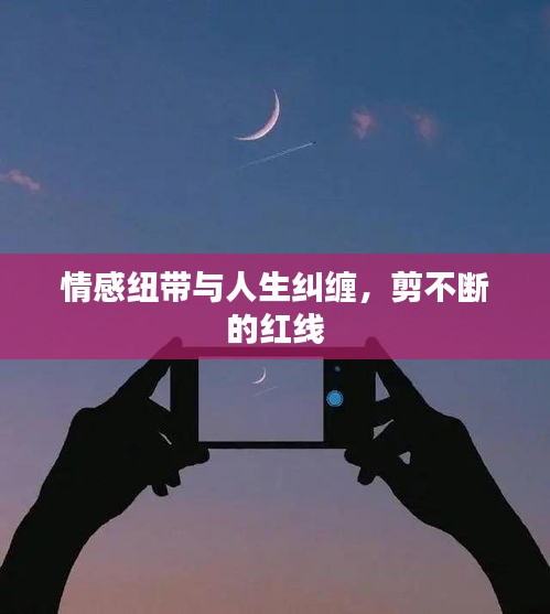 情感紐帶與人生糾纏，剪不斷的紅線