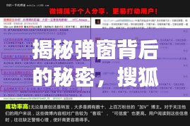 揭秘彈窗背后的秘密，搜狐信息泛濫現(xiàn)象深度探討