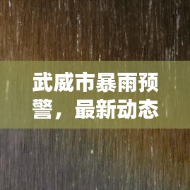 武威市暴雨預(yù)警，最新動態(tài)與應(yīng)對建議