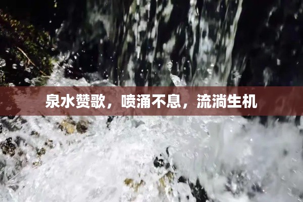 泉水贊歌，噴涌不息，流淌生機