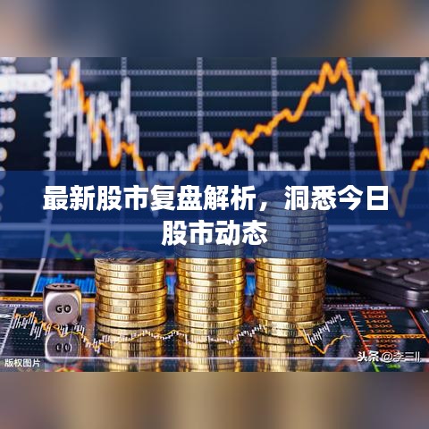 最新股市復(fù)盤解析，洞悉今日股市動態(tài)