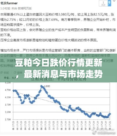 豆粕今日跌價(jià)行情更新，最新消息與市場走勢分析