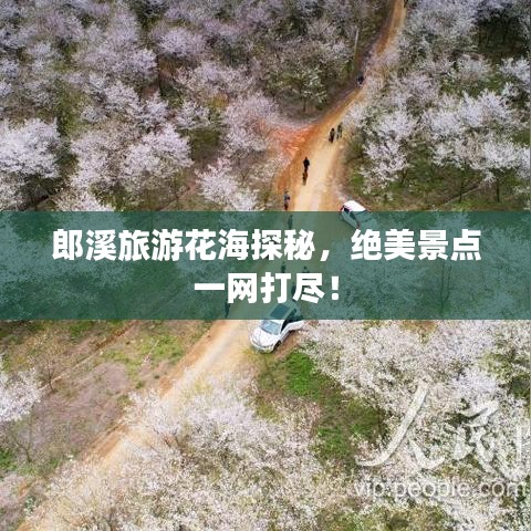 郎溪旅游花海探秘，絕美景點一網(wǎng)打盡！