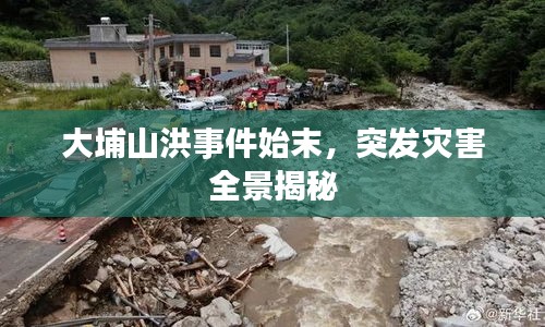 大埔山洪事件始末，突發(fā)災(zāi)害全景揭秘