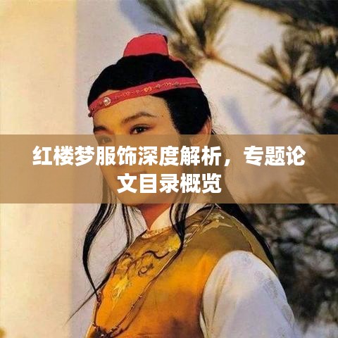 紅樓夢服飾深度解析，專題論文目錄概覽