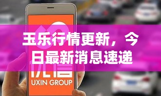 玉樂(lè)行情更新，今日最新消息速遞
