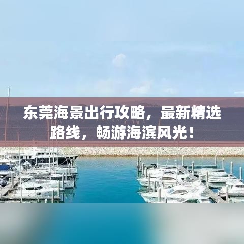 東莞海景出行攻略，最新精選路線，暢游海濱風(fēng)光！