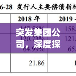 突發(fā)集團公司，深度探索、應(yīng)對策略與未來展望