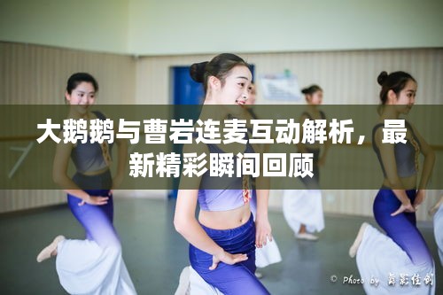 大鵝鵝與曹巖連麥互動解析，最新精彩瞬間回顧