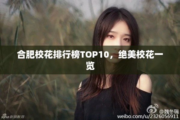 合肥?；ㄅ判邪馮OP10，絕美?；ㄒ挥[