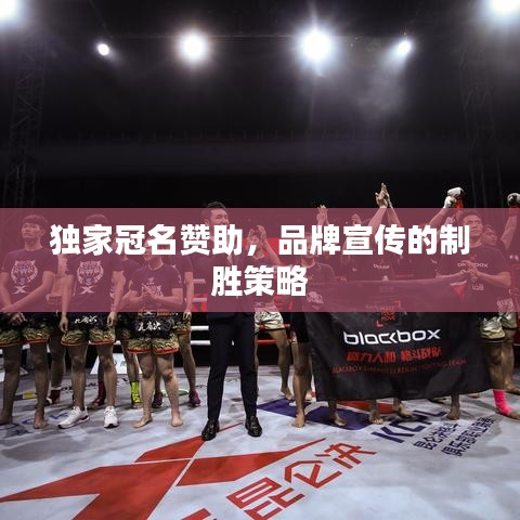 獨(dú)家冠名贊助，品牌宣傳的制勝策略
