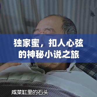 獨(dú)家蜜，扣人心弦的神秘小說之旅