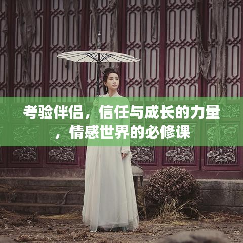 考驗(yàn)伴侶，信任與成長(zhǎng)的力量，情感世界的必修課