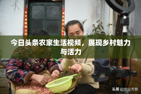 今日頭條農(nóng)家生活視頻，展現(xiàn)鄉(xiāng)村魅力與活力