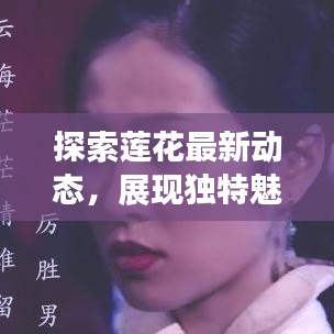 探索蓮花最新動態(tài)，展現(xiàn)獨特魅力——蓮花新聞頭條今日關(guān)注