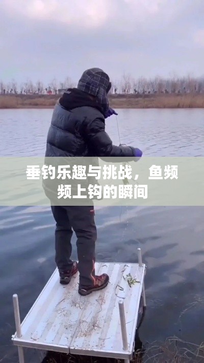 垂釣樂趣與挑戰(zhàn)，魚頻頻上鉤的瞬間