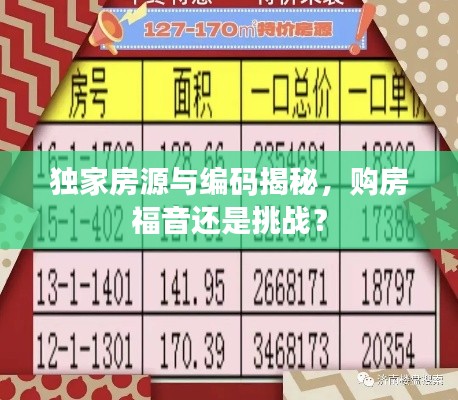 獨家房源與編碼揭秘，購房福音還是挑戰(zhàn)？