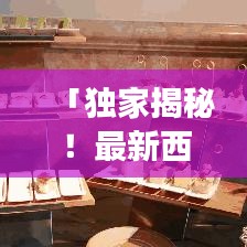 「獨(dú)家揭秘！最新西湖酒店攻略與詳細(xì)路線圖曝光」