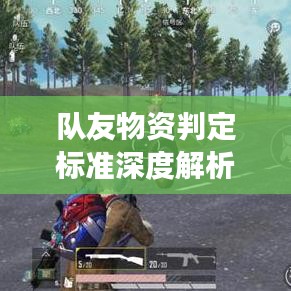 隊友物資判定標準深度解析，最新探討與解讀