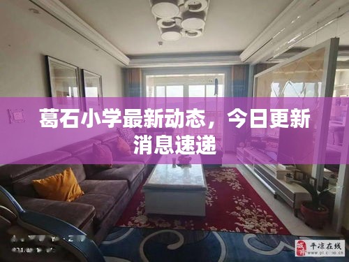 葛石小學(xué)最新動(dòng)態(tài)，今日更新消息速遞