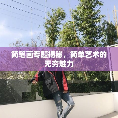 簡筆畫專題揭秘，簡單藝術(shù)的無窮魅力