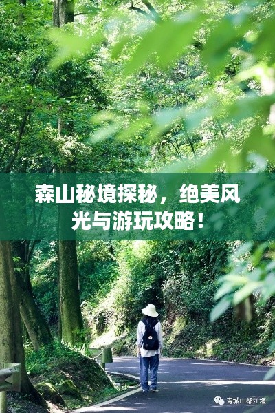 森山秘境探秘，絕美風光與游玩攻略！